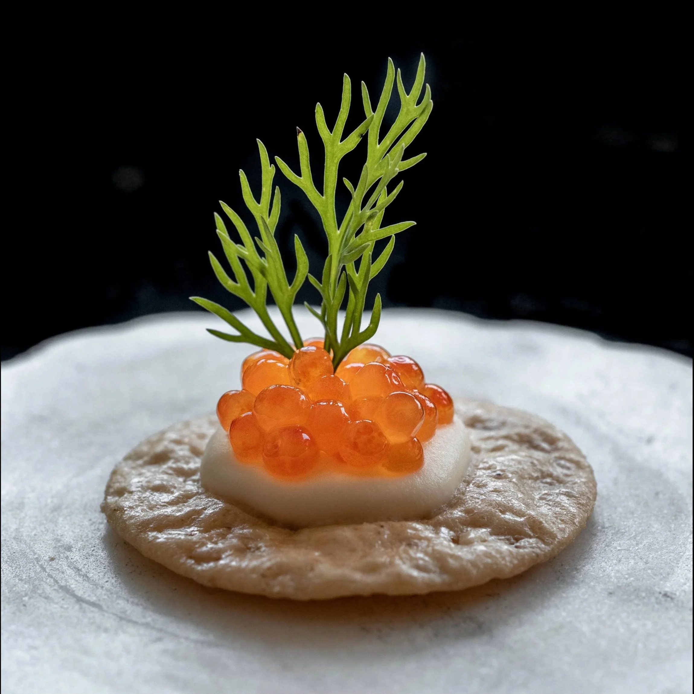Trout Roe - Image 4