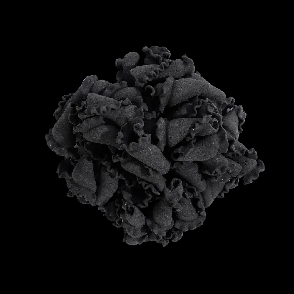 Scratch - Squid Ink Campanelle - Image 5
